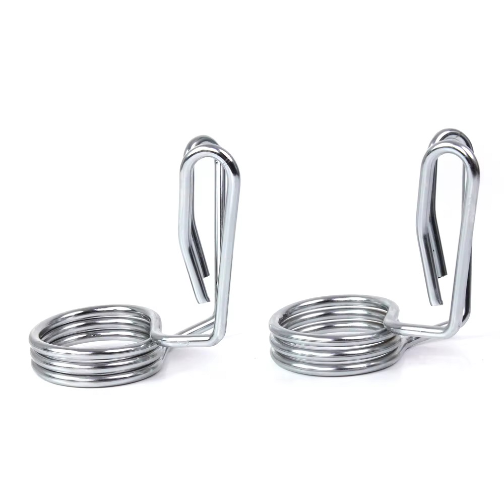Torsion spring